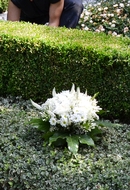 Dauergrabpflege