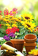 Gartenneugestaltung