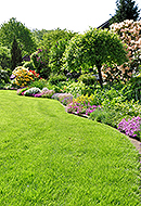 Gartenpflege